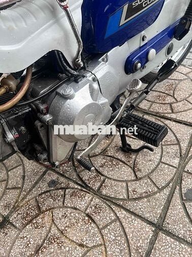 bán cúp 81 -50cc có đề bs 83