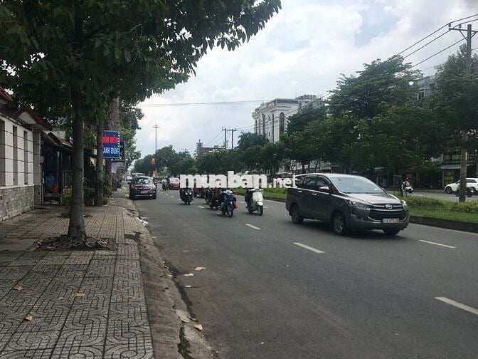🏡Thuê ngay MT10X20m Đường số 7, BTĐ-B, Bình Tân, vị trí đắc địa!