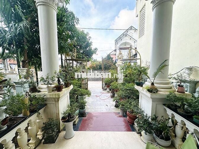 BÁN BIỆT THỰ 3TẦNG PHONG CÁCH CỔ ĐIỂN. DT:135M2/ NG. 6M.GIÁ HƠN 6 TỎI