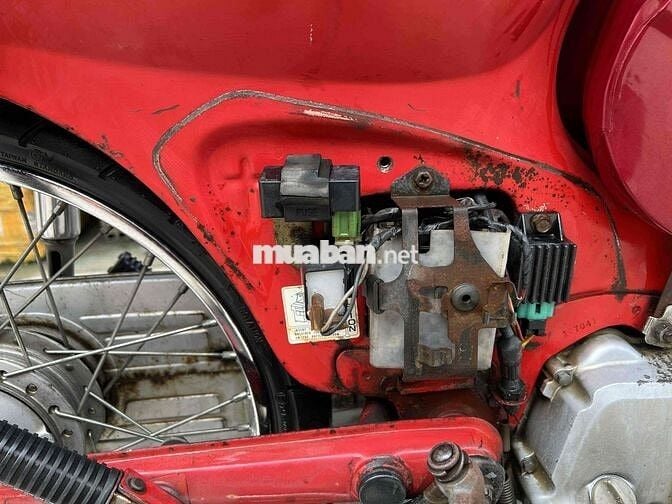 xe cub DD siêu cọp nguyên zin