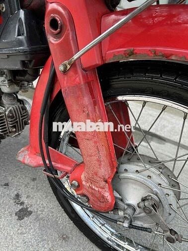 xe cub DD siêu cọp nguyên zin