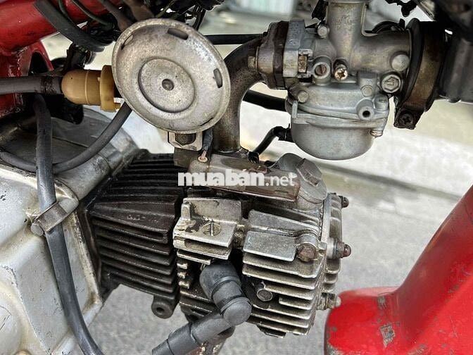 xe cub DD siêu cọp nguyên zin