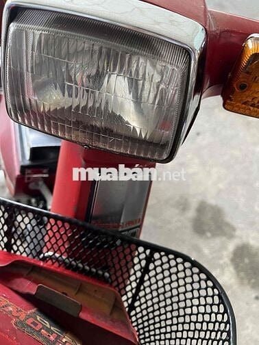 xe cub DD siêu cọp nguyên zin