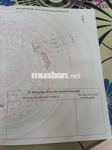 Bán đất tại xã trừ văn thố bàu bàng bình dương