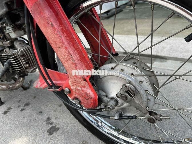 xe cub DD siêu cọp nguyên zin