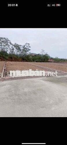 ĐẤT MINH PHÚ SÓC SƠN-ĐƯỜNG 3 Ô TÔ TRÁNH-GẦN TRƯỜNG HỌC-ĐƯỜNG LIÊN XÃ ĐẤT MINH PHÚ SÓC SƠN-ĐƯỜNG 3 Ô TÔ TRÁNH-GẦN TRƯỜNG HỌC-ĐƯỜNG LIÊN XÃ