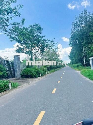 Đất vườn HCM có thổ cư (10*105m) đuờng nhựa lớn,trong khu dân cư 730tr