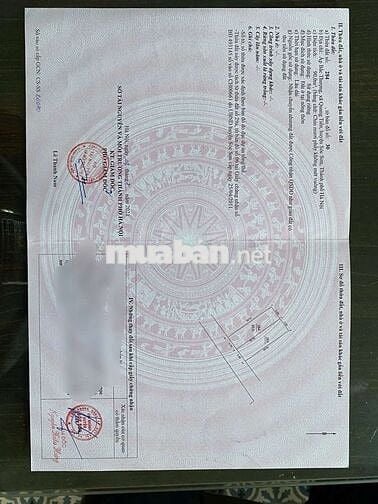Đất Nội Bài Trục chính Bắc Hạ Full thổ Cư 90m đầu tư sinh lời cao