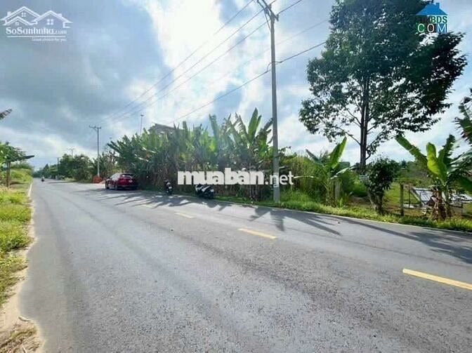 Bán đất mặt tiền trương vĩnh nguyên