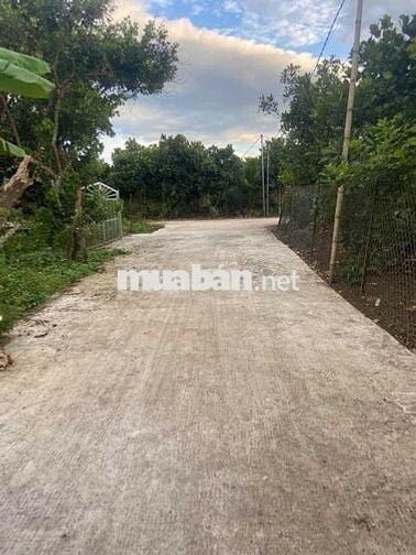Sang nhượng đất vườn 1000m2 giá rẻ, công chứng ngay