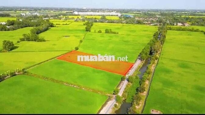 bán đất làm vướn 2493m giá 1ty950