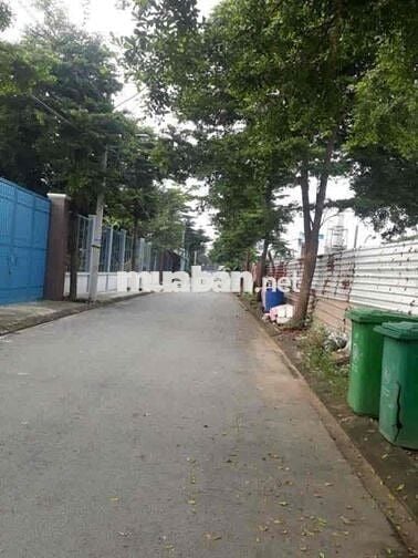 Chung cư mini Đông Thạnh-Hóc Môn