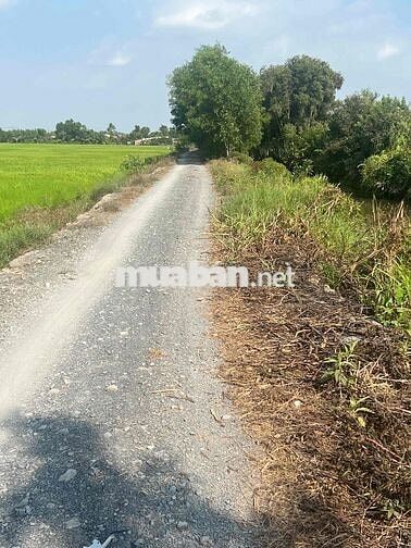 bán đất làm vướn 2493m giá 1ty950