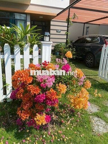 Nhà biệt thự 200m2 3 Phòng ngủ tại Dự Án Phúc An