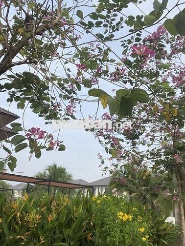 Nhà biệt thự 200m2 3 Phòng ngủ tại Dự Án Phúc An