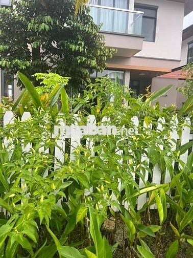 Nhà biệt thự 200m2 3 Phòng ngủ tại Dự Án Phúc An