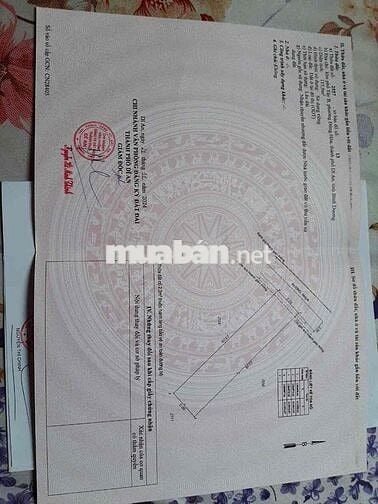 chủ bán đất gần siêu thị bigc( go) ngang 5 m phường đông hòa