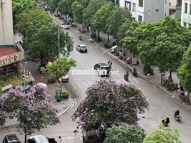 Chung cư Vinaconex, Khúc Thừa Dụ - Trương Công Giai giá cực hợp lý