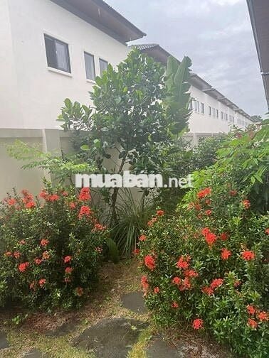 Nhà biệt thự 200m2 3 Phòng ngủ tại Dự Án Phúc An