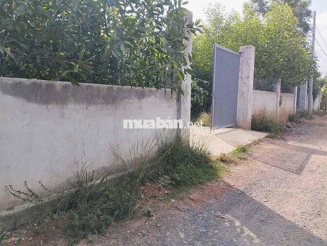 107m2 thổ cư đẹp Thiện Tân cũ (nay P. Trảng Dài)
