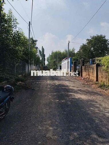 107m2 thổ cư đẹp Thiện Tân cũ (nay P. Trảng Dài)