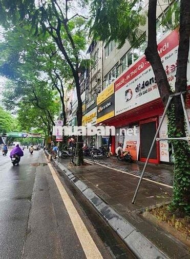 Mặt phố VIP Thái Hà , Đống Đa , Hà Nội