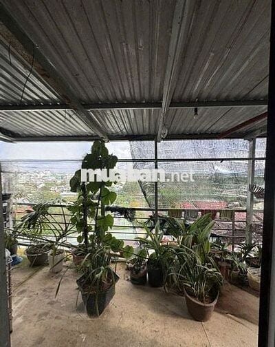 BÁN NHÀ ĐƯỜNG TÔ VĨNH DIỆN LÂM ĐỒNG