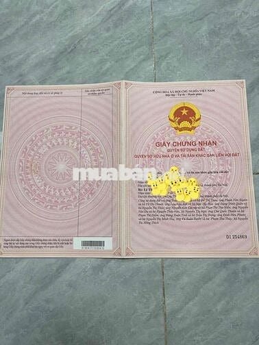 Bán CCMN Sổ Hồng Chung Từng Căn - Thoáng Đẹp- Lương Thế Vinh, P Khoang