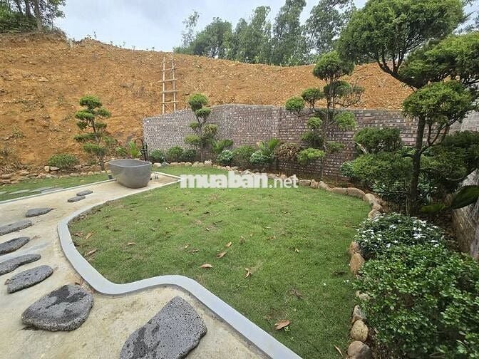 ✨BÁN ĐẤT VIEW ĐỒI SIÊU ĐẸP, LÀM NHÀ VƯỜN NGHỈ DƯỠNG, CHỈ 1 TỶ/1000M² 🌿