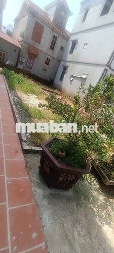 Bán đất Đại Đồng Đại Mạch Đông Anh 45.5m2 3.7 tỉ