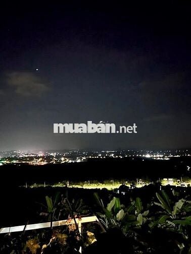 🏡Đất vườn đồi view hồ cực chill tại Đồng Nai – Chỉ 1.1 TỶ/1000m² – SHR