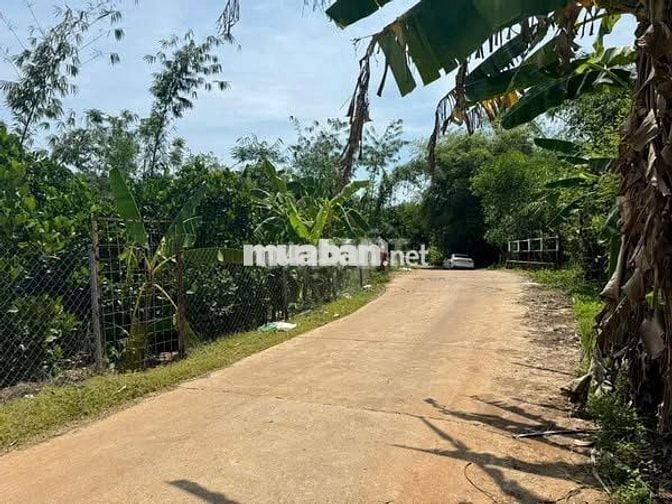 Đất vườn diện tích 1200m2 view hồ trị an tuyệt đẹp