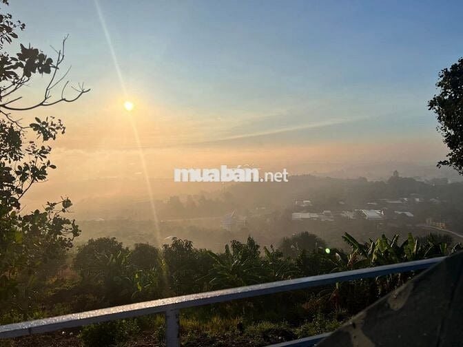 🏡Đất vườn đồi view hồ cực chill tại Đồng Nai – Chỉ 1.1 TỶ/1000m² – SHR