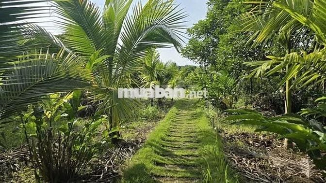 Đất vườn diện tích 1200m2 view hồ trị an tuyệt đẹp