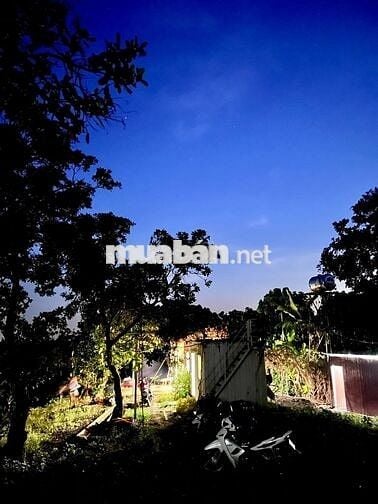 🏡Đất vườn đồi view hồ cực chill tại Đồng Nai – Chỉ 1.1 TỶ/1000m² – SHR