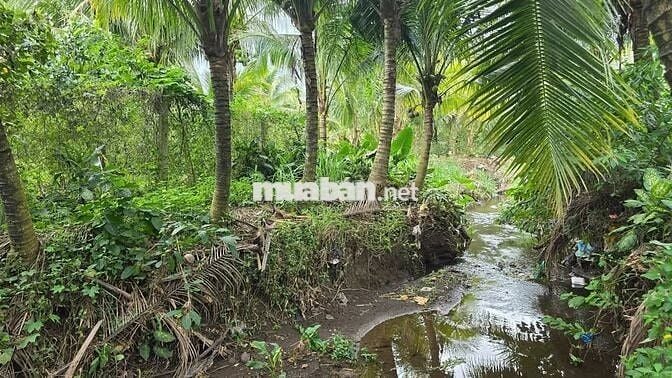 🌿 SIÊU PHẨM ĐẤT VƯỜN NGHỈ DƯỠNG GIÁP SUỐI - LA NGÀ ĐN - CHỈ 860 TRIỆU