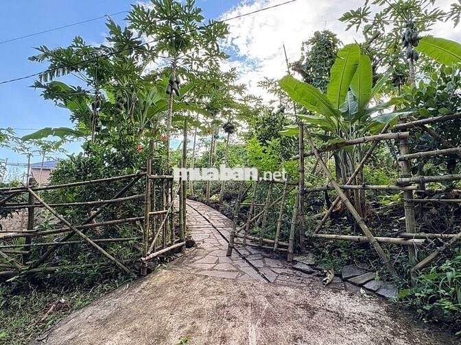 🌿 SIÊU PHẨM ĐẤT VƯỜN NGHỈ DƯỠNG GIÁP SUỐI - LA NGÀ ĐN - CHỈ 860 TRIỆU