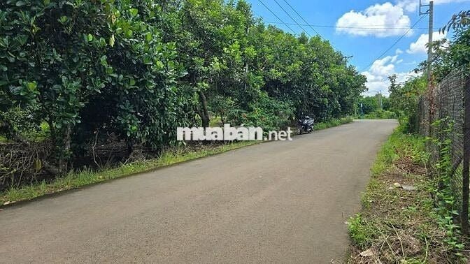 🌿 SIÊU PHẨM ĐẤT VƯỜN NGHỈ DƯỠNG GIÁP SUỐI - LA NGÀ ĐN - CHỈ 860 TRIỆU