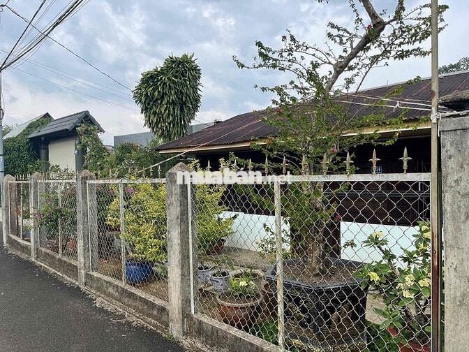 Nhà gỗ có hoàn công - Hẻm Phan Chu Trinh - Bảo Lộc DT 369m2 giá tốt