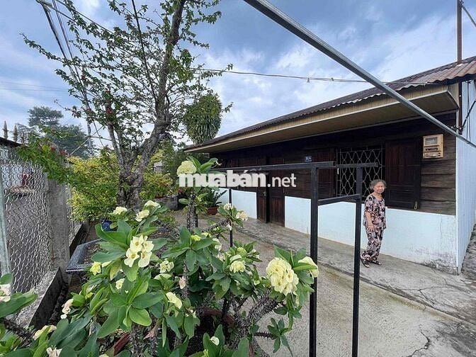 Nhà gỗ có hoàn công - Hẻm Phan Chu Trinh - Bảo Lộc DT 369m2 giá tốt