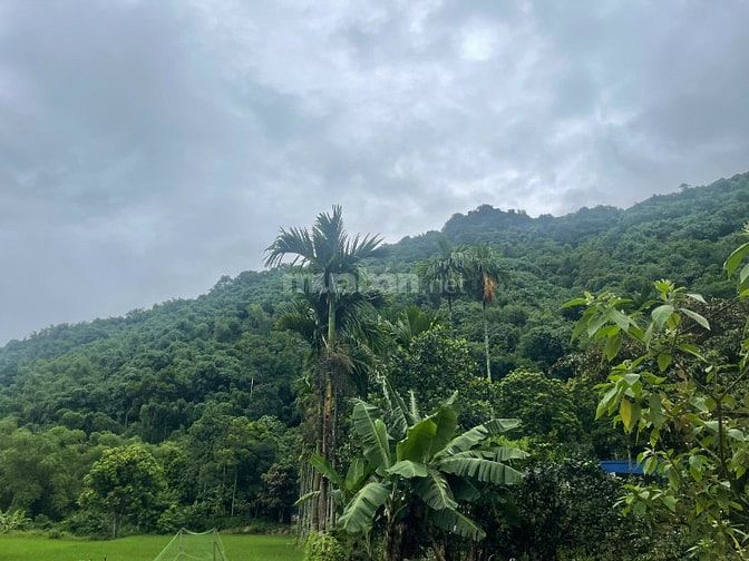 alo ngay em đất đẹp giá cực rẻ chính chủ cần tiền muốn bán gấp 676m 