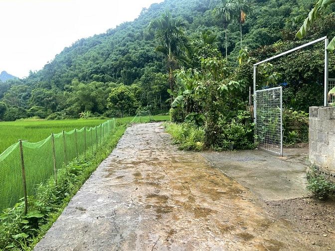 alo ngay em đất đẹp giá cực rẻ chính chủ cần tiền muốn bán gấp 676m 