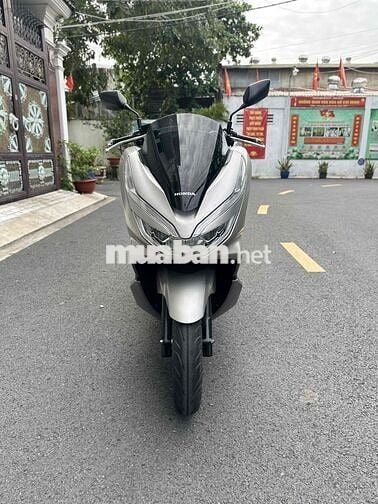 pcx cọp