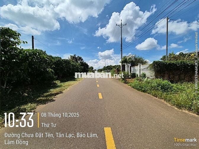 ĐẤT ĐẸP NGAY MẶT TIỀN CHÍNH ÂU cmCOW_ HÒA NAM