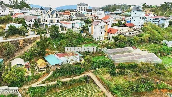 Bán đất Đà Lạt Xô Viết Nghệ Tĩnh 500m, view đồi thông Tùng Lâm cực đẹp