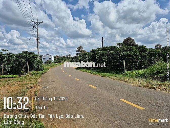 ĐẤT ĐẸP NGAY MẶT TIỀN CHÍNH ÂU cmCOW_ HÒA NAM