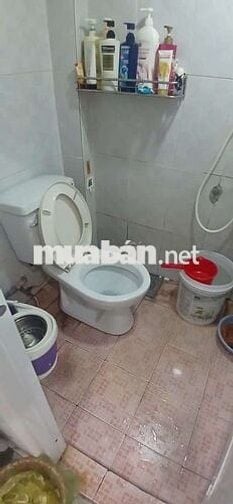 Cho thuê nhà nguyên căn.Đường Nguyên Hồng.Phường 11.Quận Bình Thạnh.