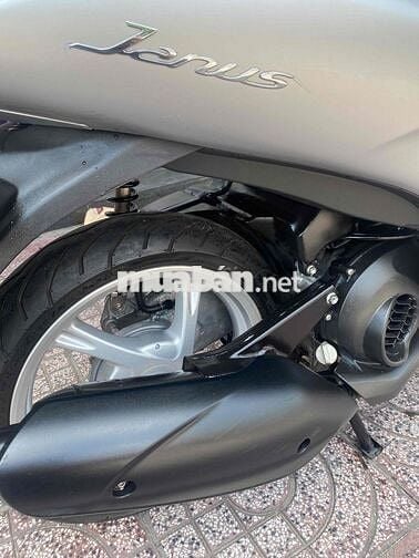yamaha janus 2023
