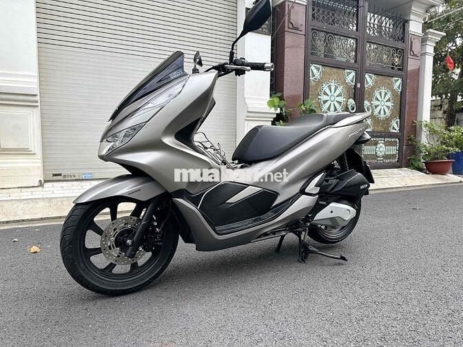 pcx cọp