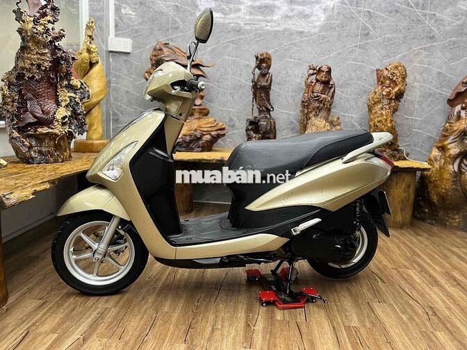 Acruzo đẹp, máy êm thì thầm bao vọt